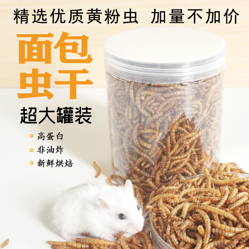 高タンパク質スナック ハムスター用フード 鳥類 ハリネズミ  - Food Snacks High In Protein のレビューと価格